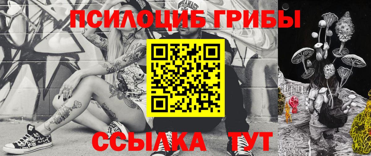 Псилоцибиновые грибы GOLDEN TEACHER Семёнов