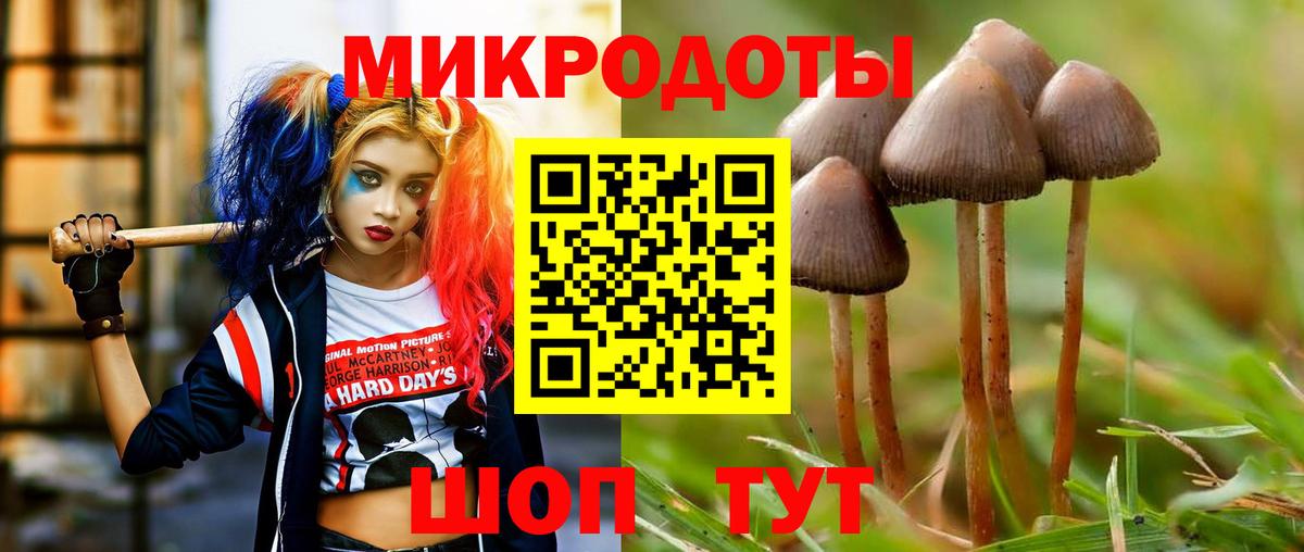 Семёнов  Псилоцибиновые грибы Psilocybine cubensis  Вход с VPN 